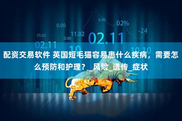 配资交易软件 英国短毛猫容易患什么疾病，需要怎么预防和护理？_风险_遗传_症状