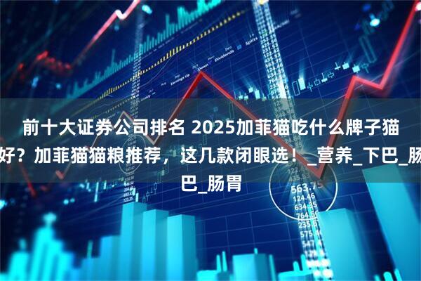 前十大证券公司排名 2025加菲猫吃什么牌子猫粮好？加菲猫猫粮推荐，这几款闭眼选！_营养_下巴_肠胃