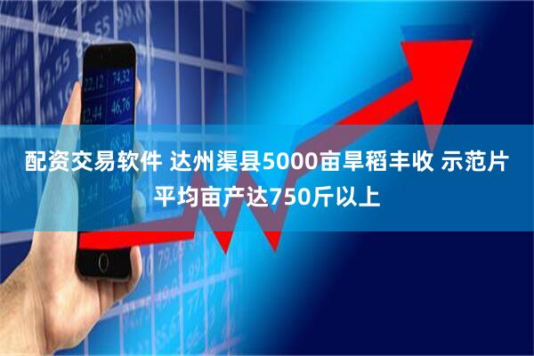 配资交易软件 达州渠县5000亩旱稻丰收 示范片平均亩产达750斤以上