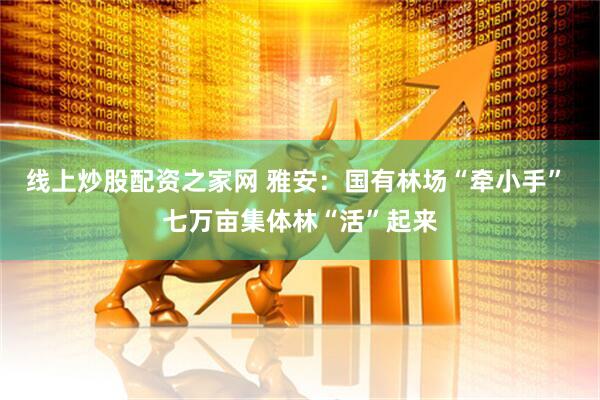 线上炒股配资之家网 雅安：国有林场“牵小手” 七万亩集体林“活”起来