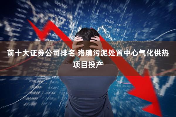 前十大证券公司排名 珞璜污泥处置中心气化供热项目投产
